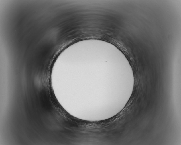X0000088400146200705220828