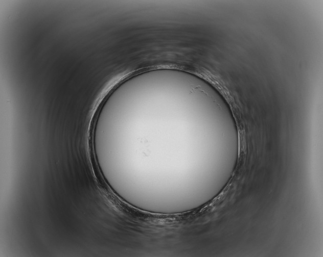 X0000088400147200705220828