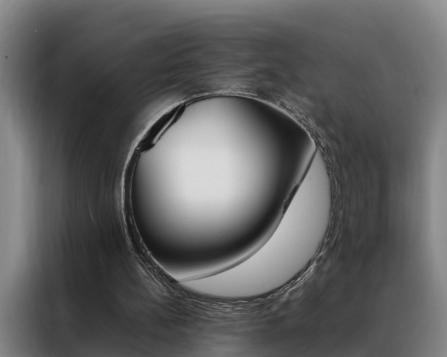 X0000088400148200705220828