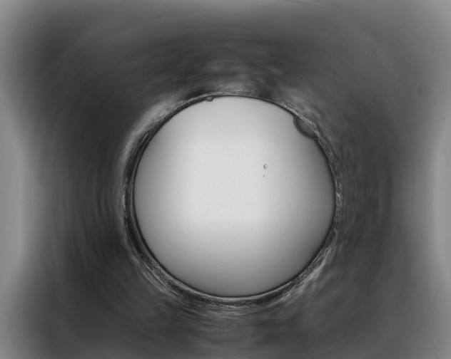 X0000088400149200705220828