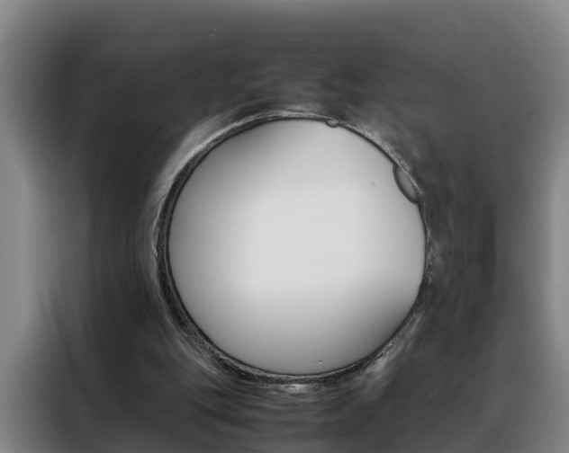X0000088400151200705220828
