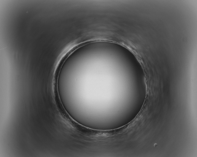 X0000088400152200705220828