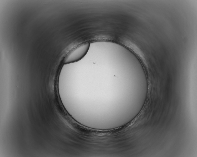 X0000088400155200705220828