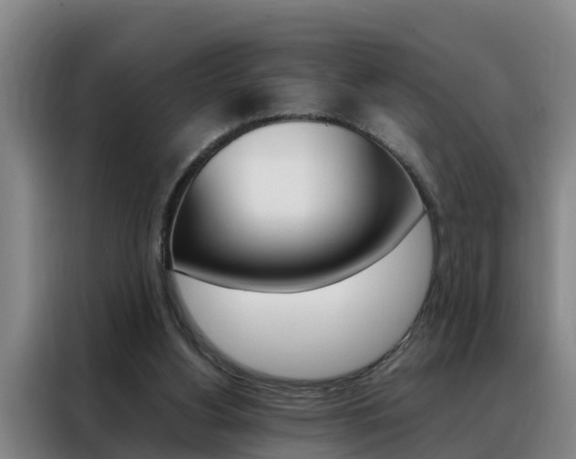 X0000088400156200705220828