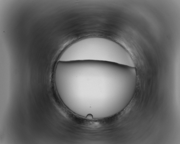 X0000088400159200705220828