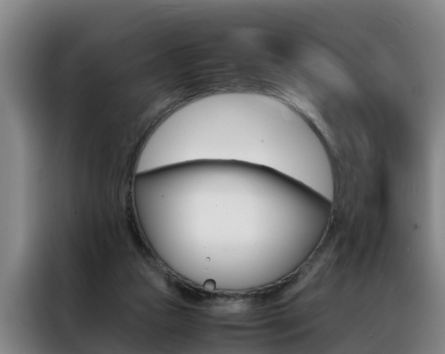 X0000088400161200705220828