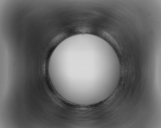 X0000088400163200705220828