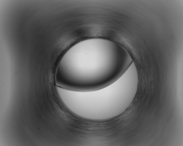 X0000088400164200705220828