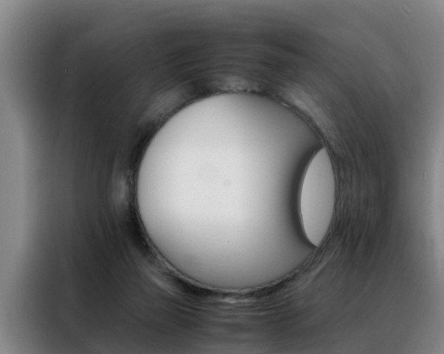 X0000088400165200705220828