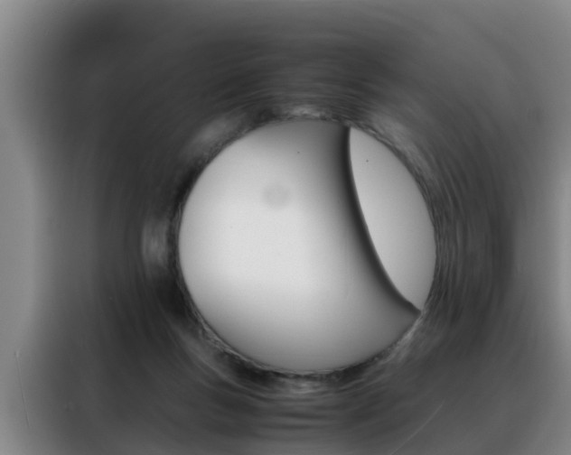 X0000088400167200705220828