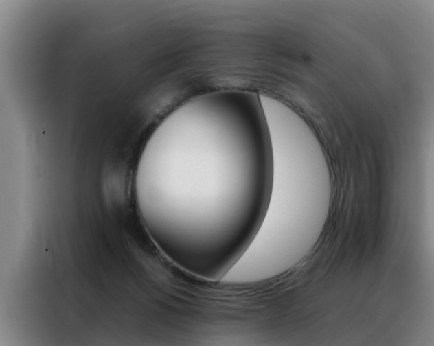 X0000088400168200705220828
