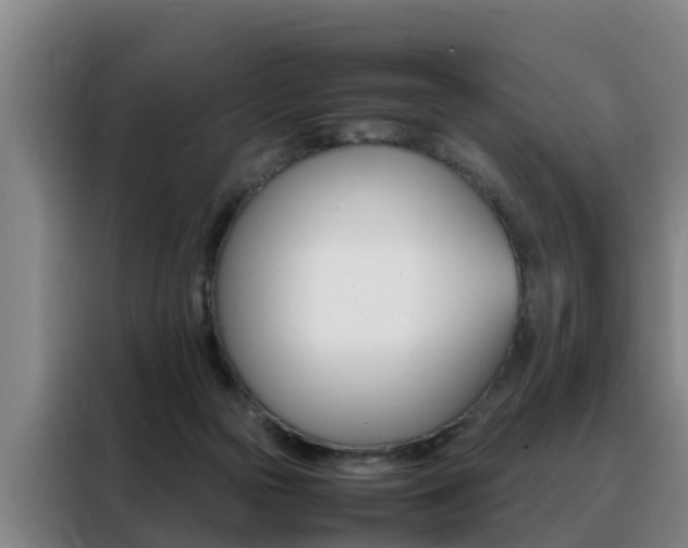 X0000088400169200705220828