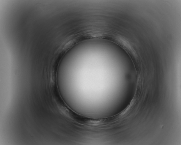 X0000088400170200705220828