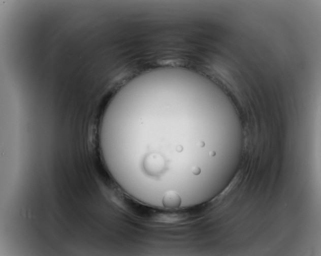 X0000088400171200705220828