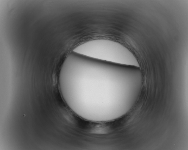 X0000088400173200705220828