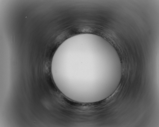 X0000088400175200705220829