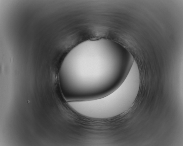 X0000088400176200705220829