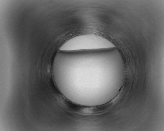 X0000088400178200705220829