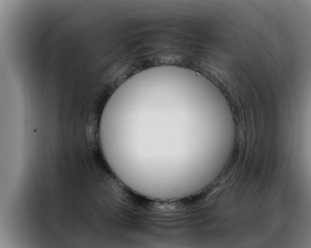 X0000088400181200705220829