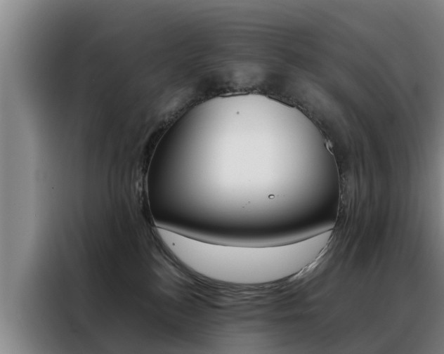 X0000088400184200705220829