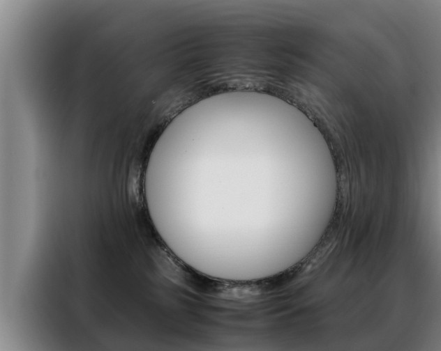 X0000088400185200705220829