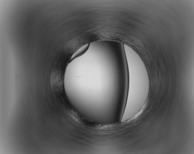 X0000088400186200705220829