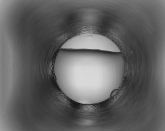 X0000088400189200705220829