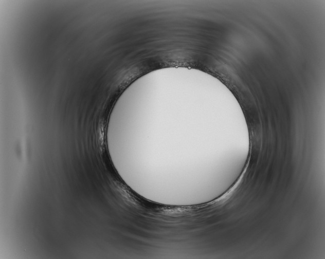X0000088400190200705220829