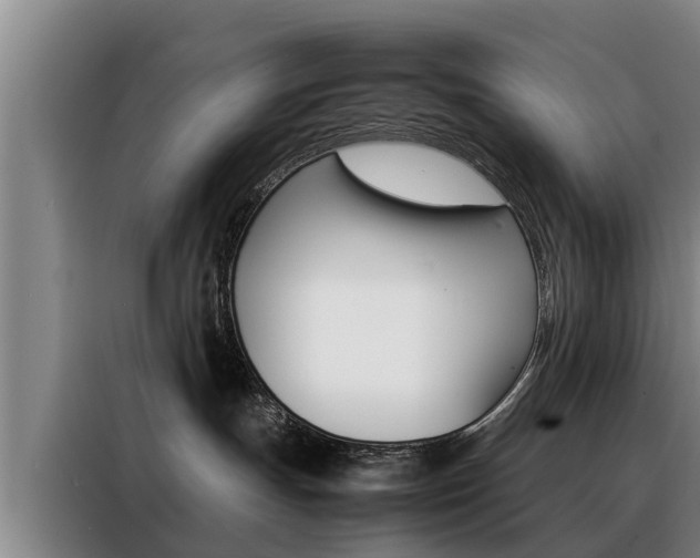 X0000088400191200705220829