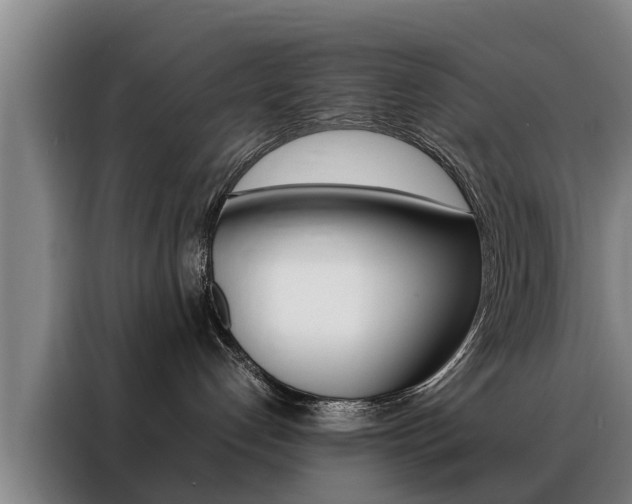 X0000088400192200705220829