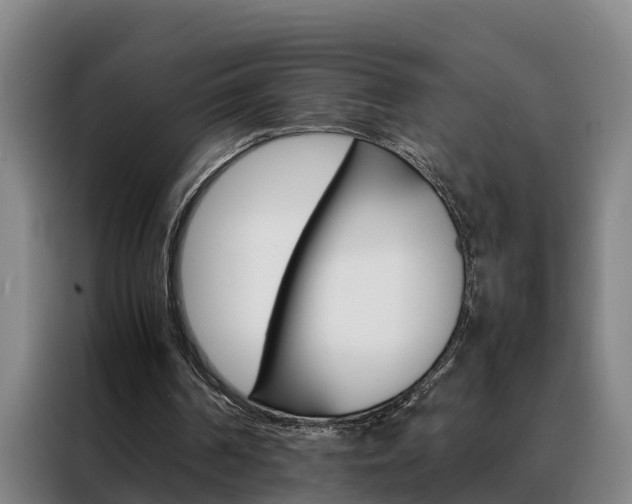 X0000088400194200705220828