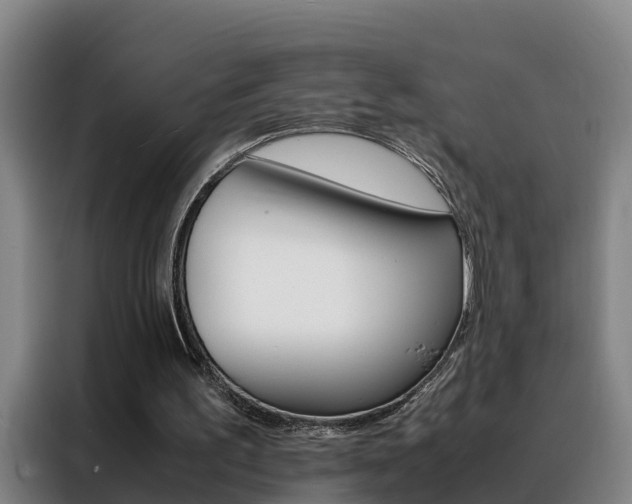X0000088400195200705220828