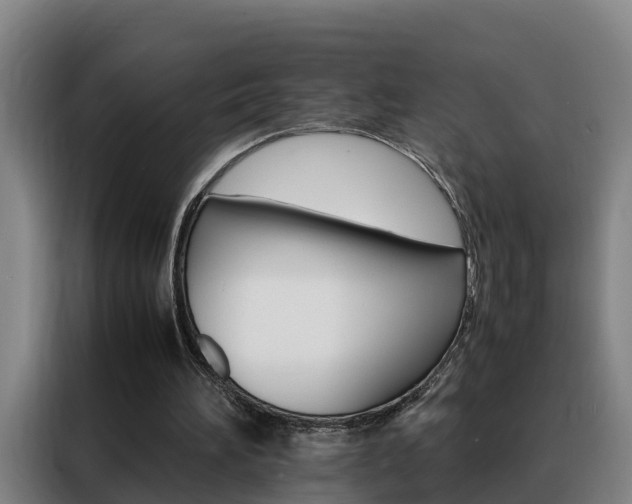 X0000088400196200705220828