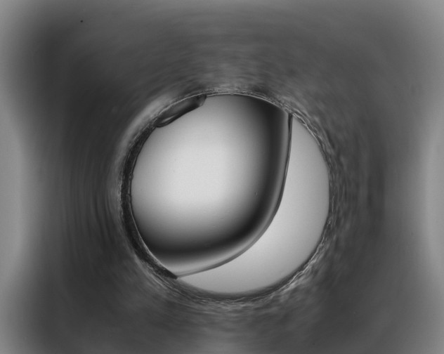 X0000088400197200705220828