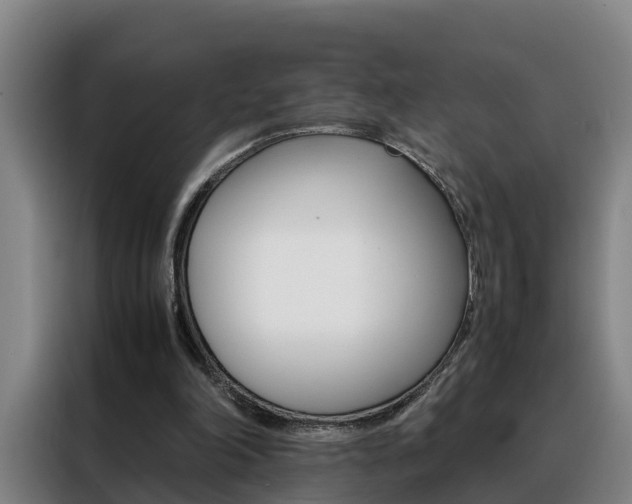 X0000088400198200705220828