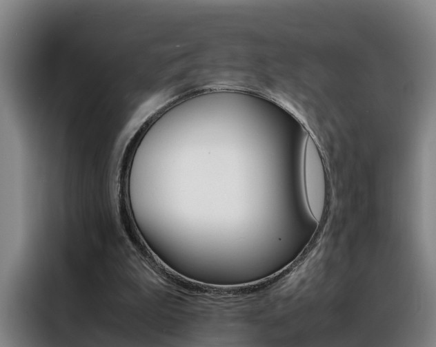 X0000088400199200705220828