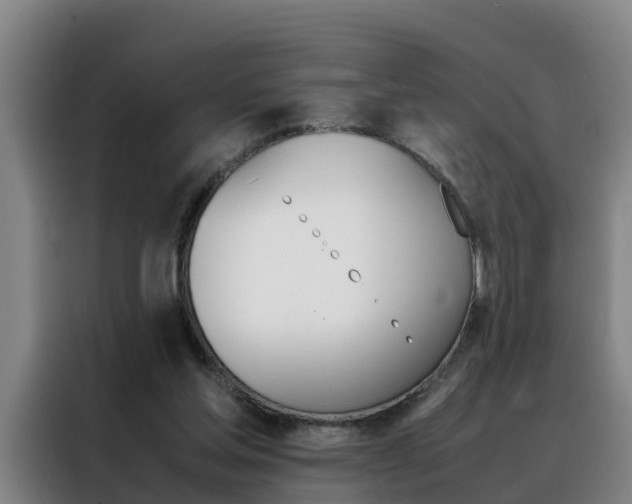 X0000088400205200705220828