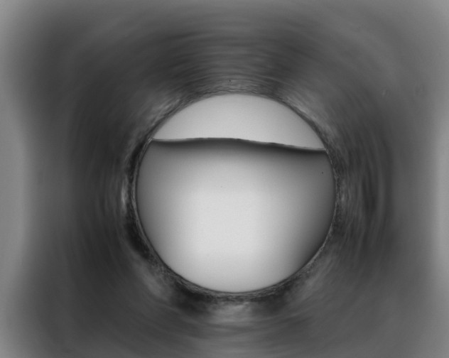X0000088400206200705220828