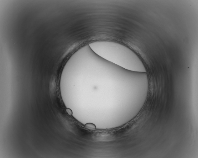 X0000088400208200705220828