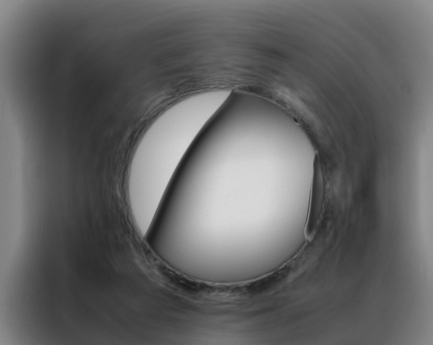 X0000088400209200705220828