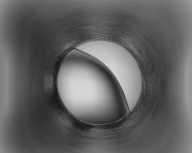 X0000088400211200705220828