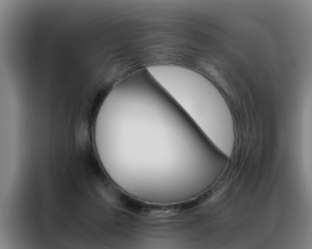 X0000088400213200705220828