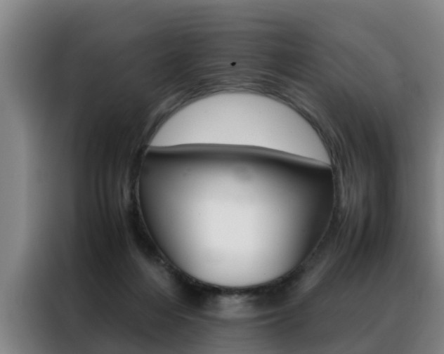 X0000088400216200705220828
