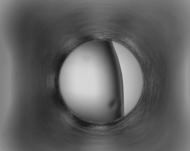 X0000088400217200705220828