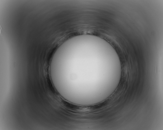 X0000088400218200705220828