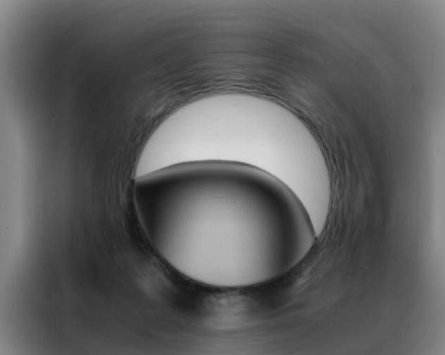 X0000088400219200705220828