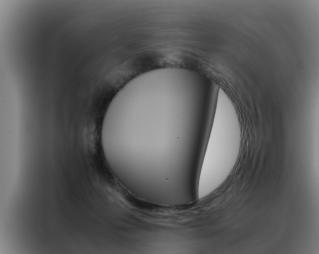 X0000088400223200705220828