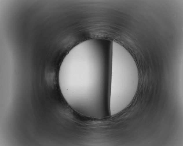 X0000088400224200705220828