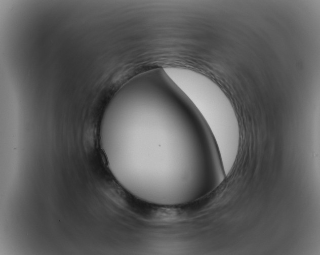 X0000088400227200705220828
