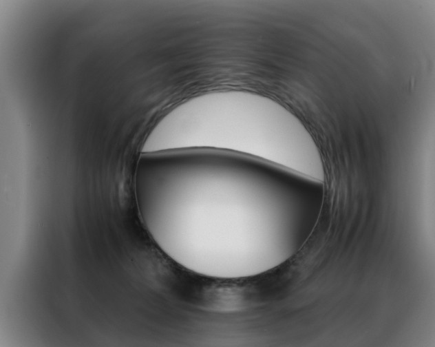 X0000088400228200705220828